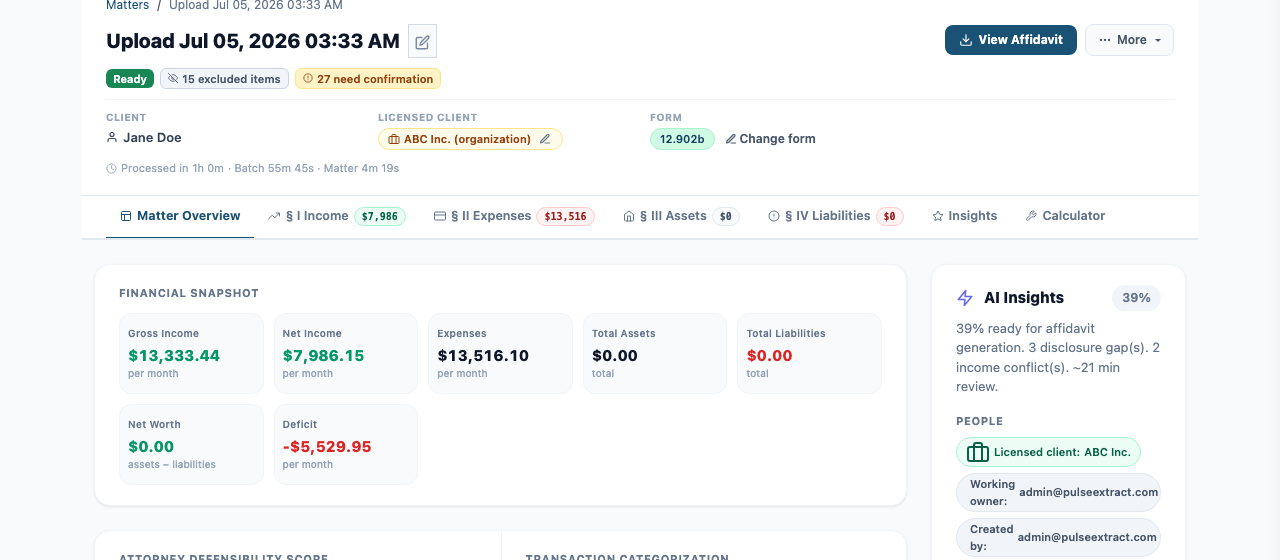 PulseExtract organized financial view showing income, expenses, assets, and liabilities